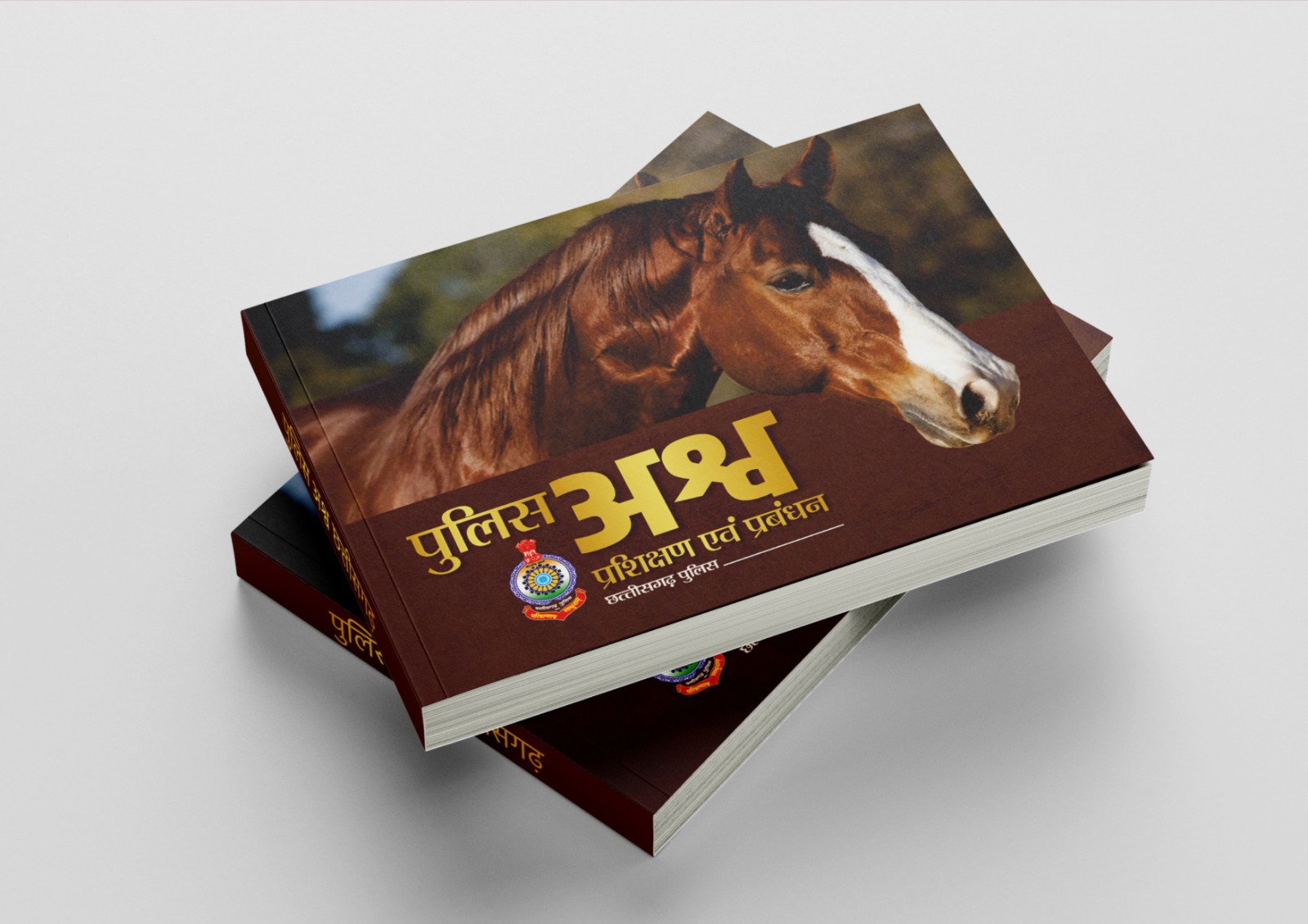 Chhattisgarh 3rd Battalion – Horse Squad Coffee Table Book